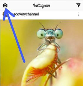 Comment enregistrer des vidéos en direct Instagram sur un téléphone Android