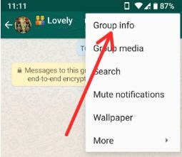 Comment utiliser les nouvelles fonctionnalités du groupe WhatsApp sur un téléphone Android